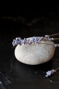 Lawenda Blue Scent naturalny zapach relaksu i świeżości