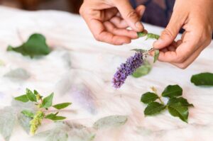 Lawenda pośrednia najlepsza do ogrodu i aromaterapii